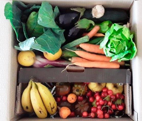 Cesta mediana mixta de verdura y fruta ecológicas - SOLO ECOS S.L.